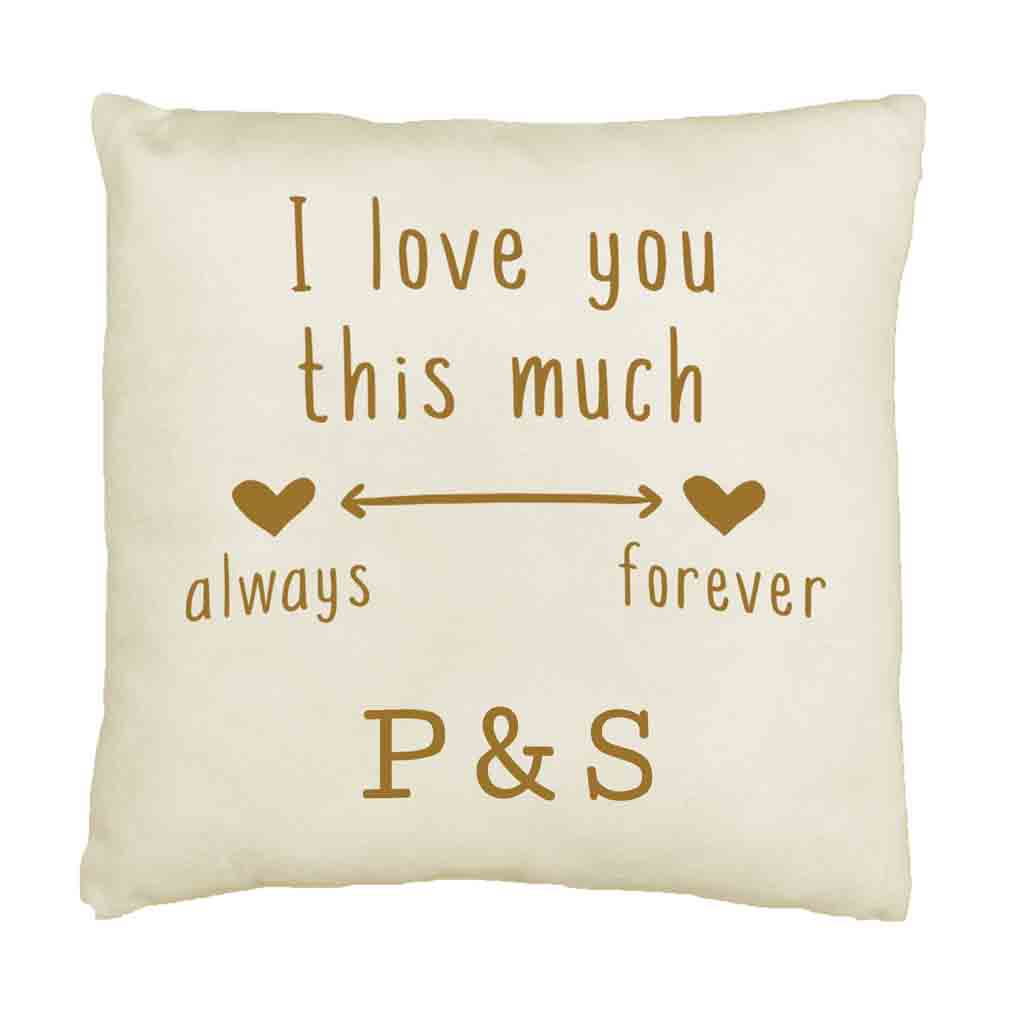 Love You Always and Forever 2 Year Anniversary Pillow Cover