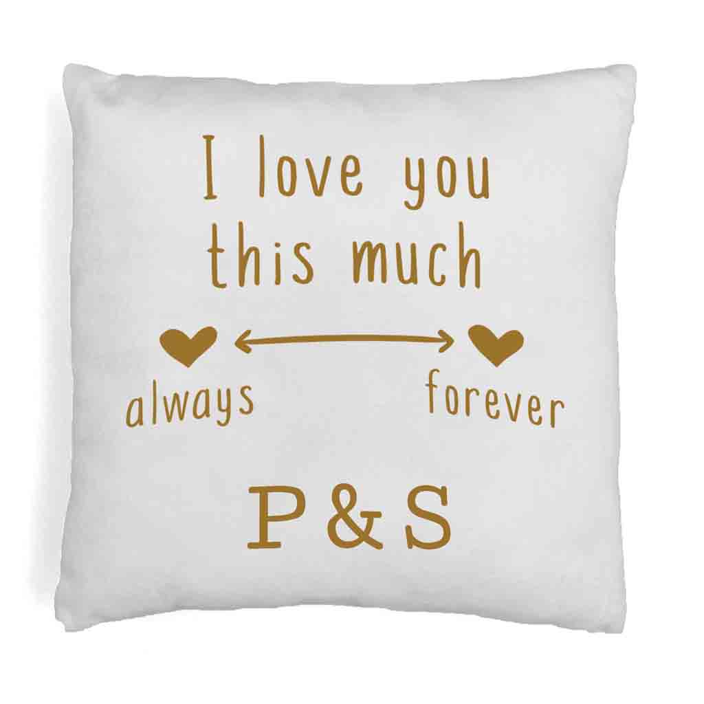 Love You Always and Forever 2 Year Anniversary Pillow Cover