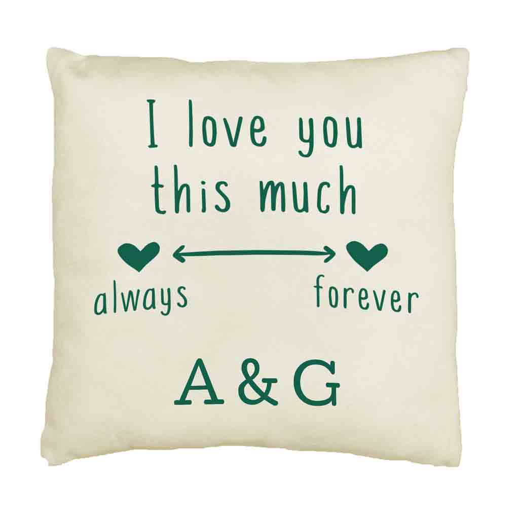 Love You Always and Forever 2 Year Anniversary Pillow Cover