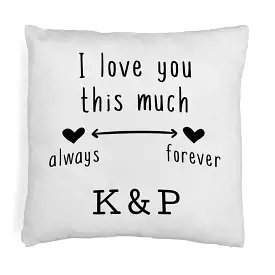 Love You Always and Forever 2 Year Anniversary Pillow Cover